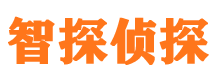 灵山市私家侦探